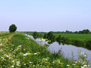 Angelgewässer in Ostfriesland