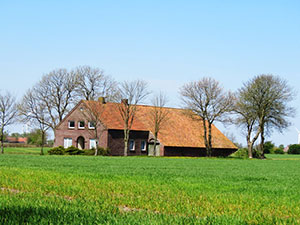 Bauernhöfe in Holtgast