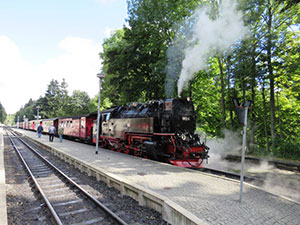 Reisen Schmalspurbahn im Harz